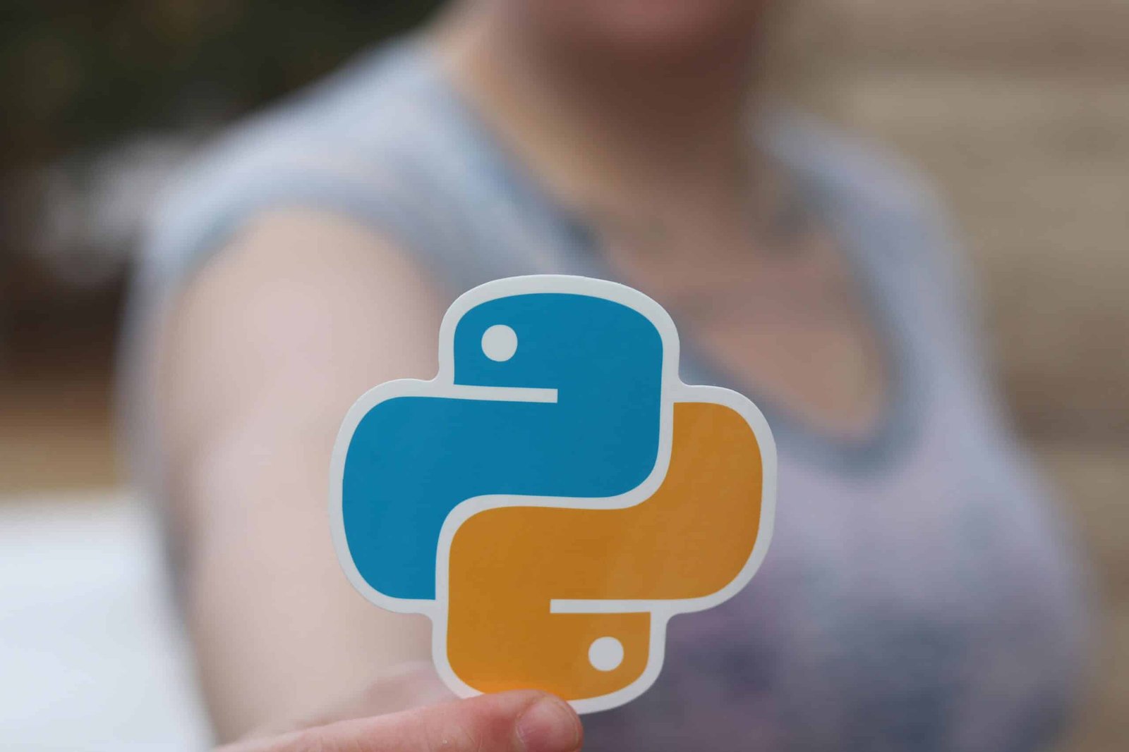 python logo